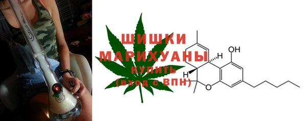 ГАЛЛЮЦИНОГЕННЫЕ ГРИБЫ Аркадак