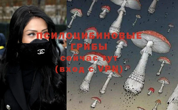 mdpv Абинск