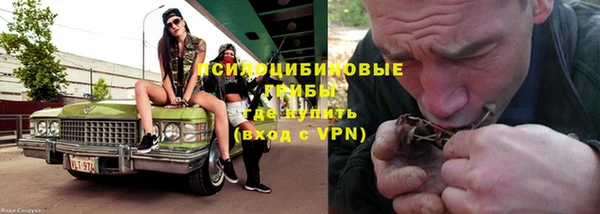 круглые Алексеевка